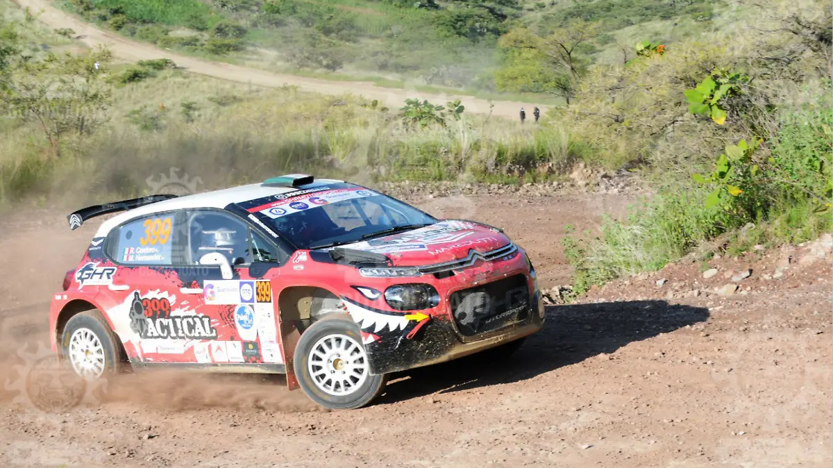 Cordero-va-a-la-cabeza