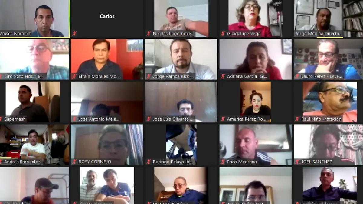 Video conferencia