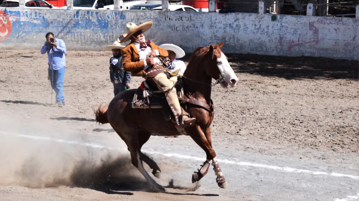 Don-Lalo