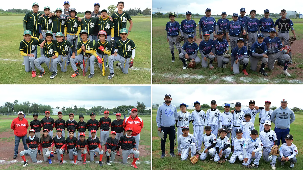 Equipos-de-beisbol