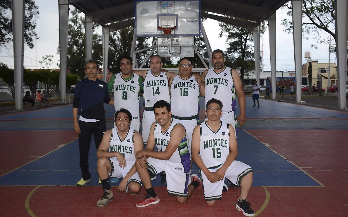 T-Montes