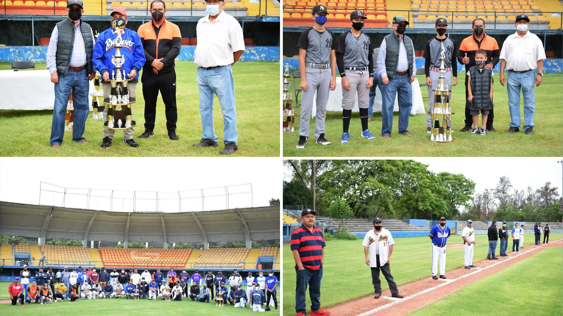 Liga-de-béisbol