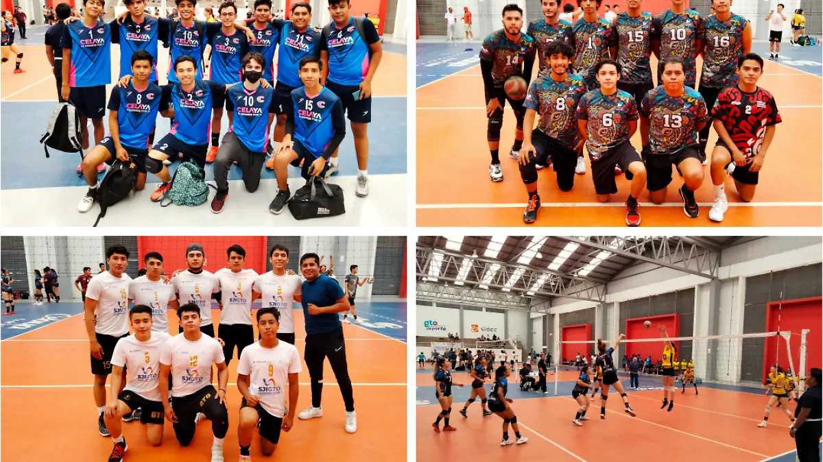 equipos-de-bolei-bol