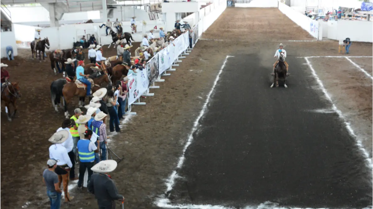 concluye-fetival-internacional