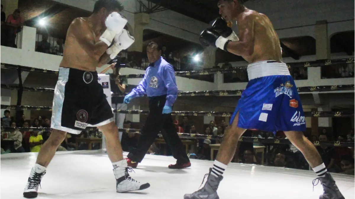 campeonato-de-box