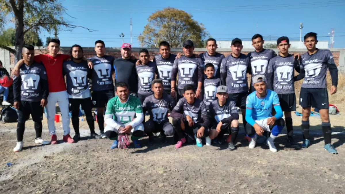 pumas