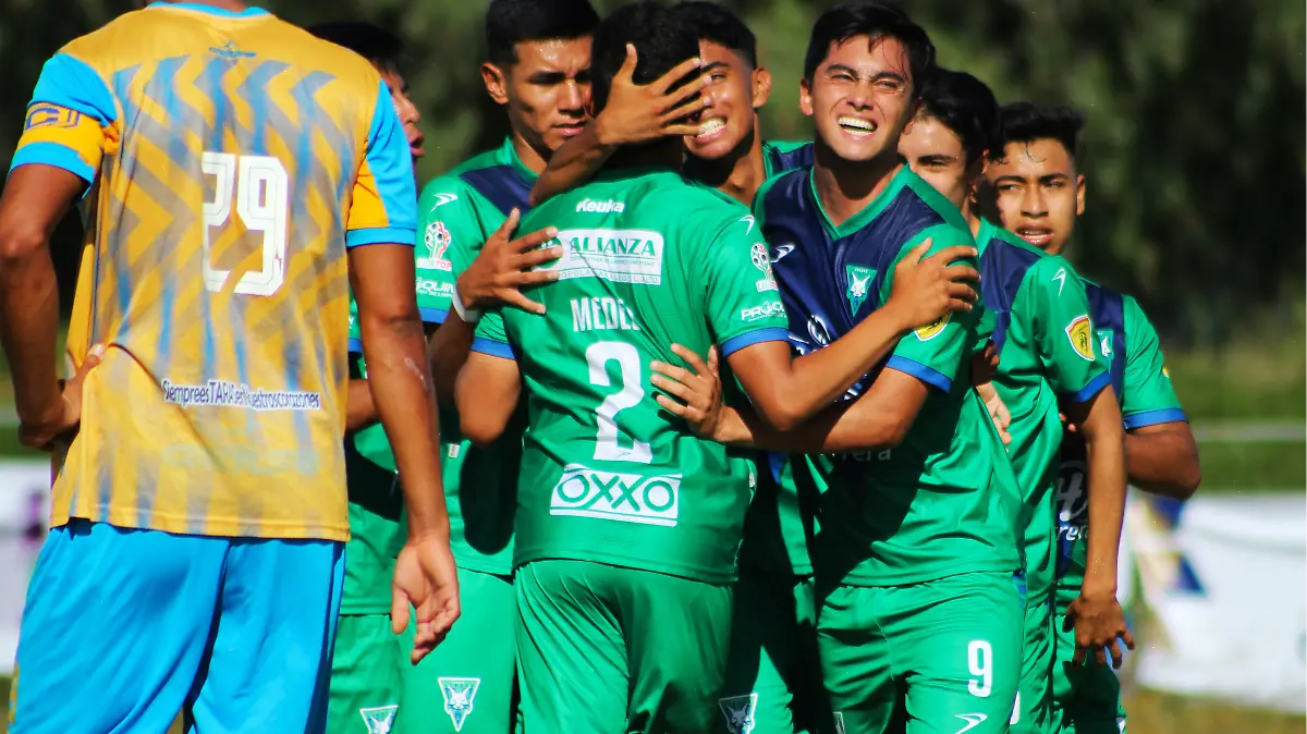 Celaya-linces