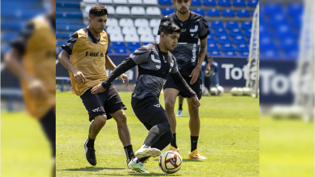 los-toros-vs-morelia
