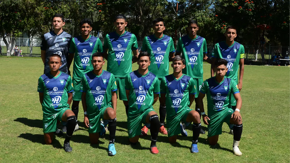 Celaya-linces