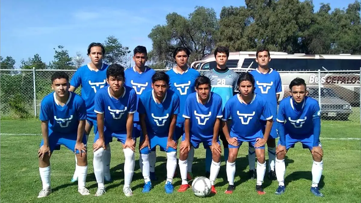 Visorías
