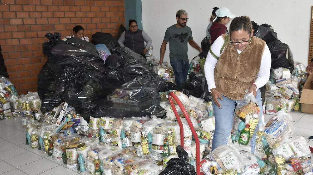 Los-apoyos-que