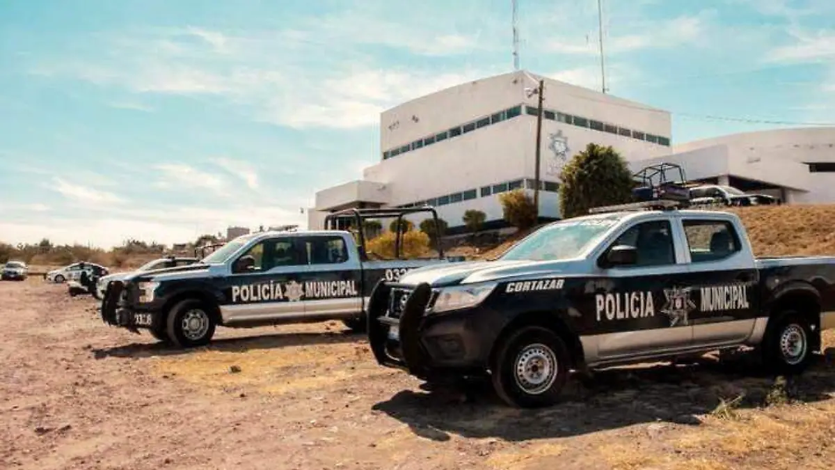 WhatsApp Image 2024-05-20 at 2.00.22 PM