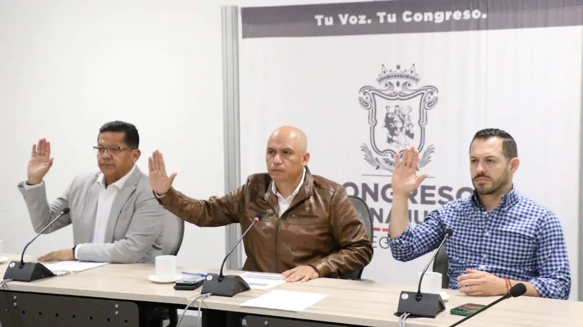 Estado-y-Federación 