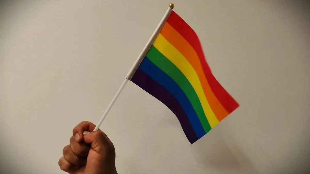 Ley diversidad ok