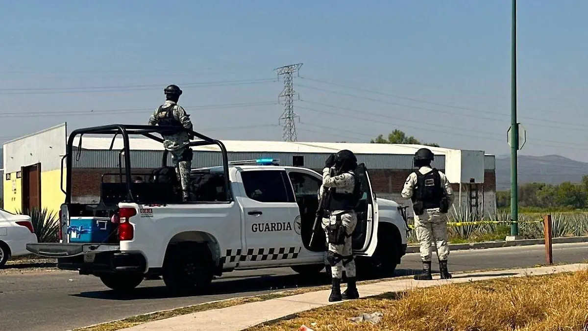 WhatsApp Image 2024-06-14 at 3.20.27 PM