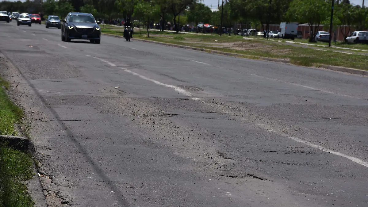 baches (4) pk