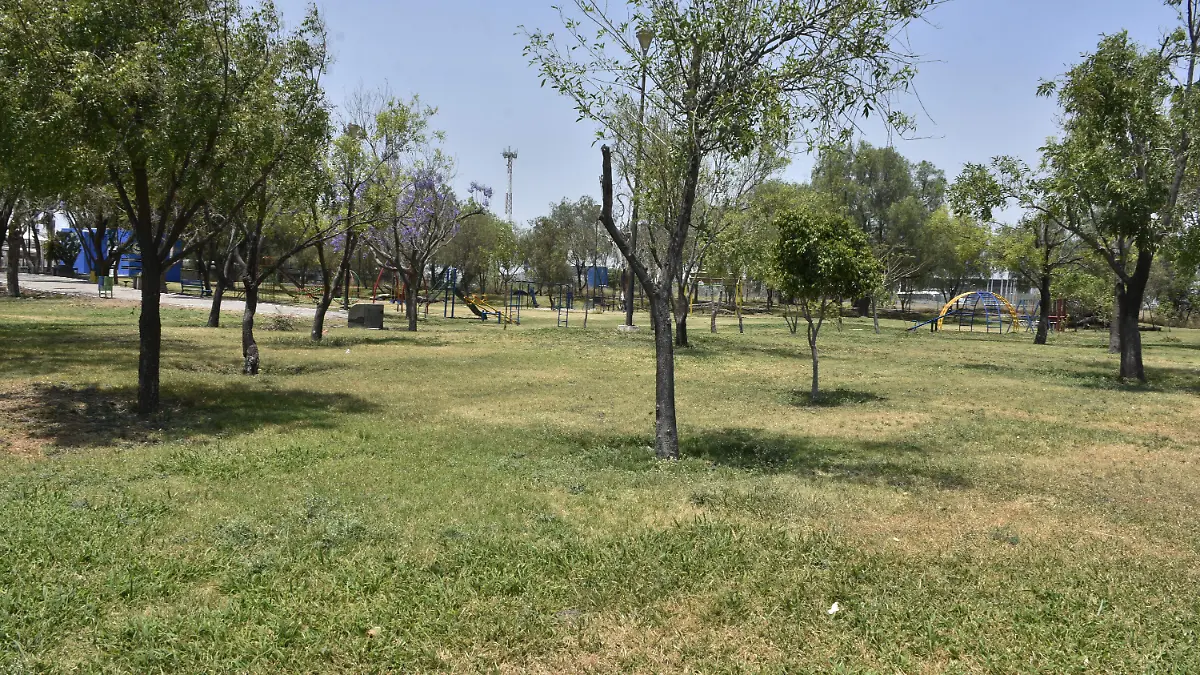 bicentenario (1) ok