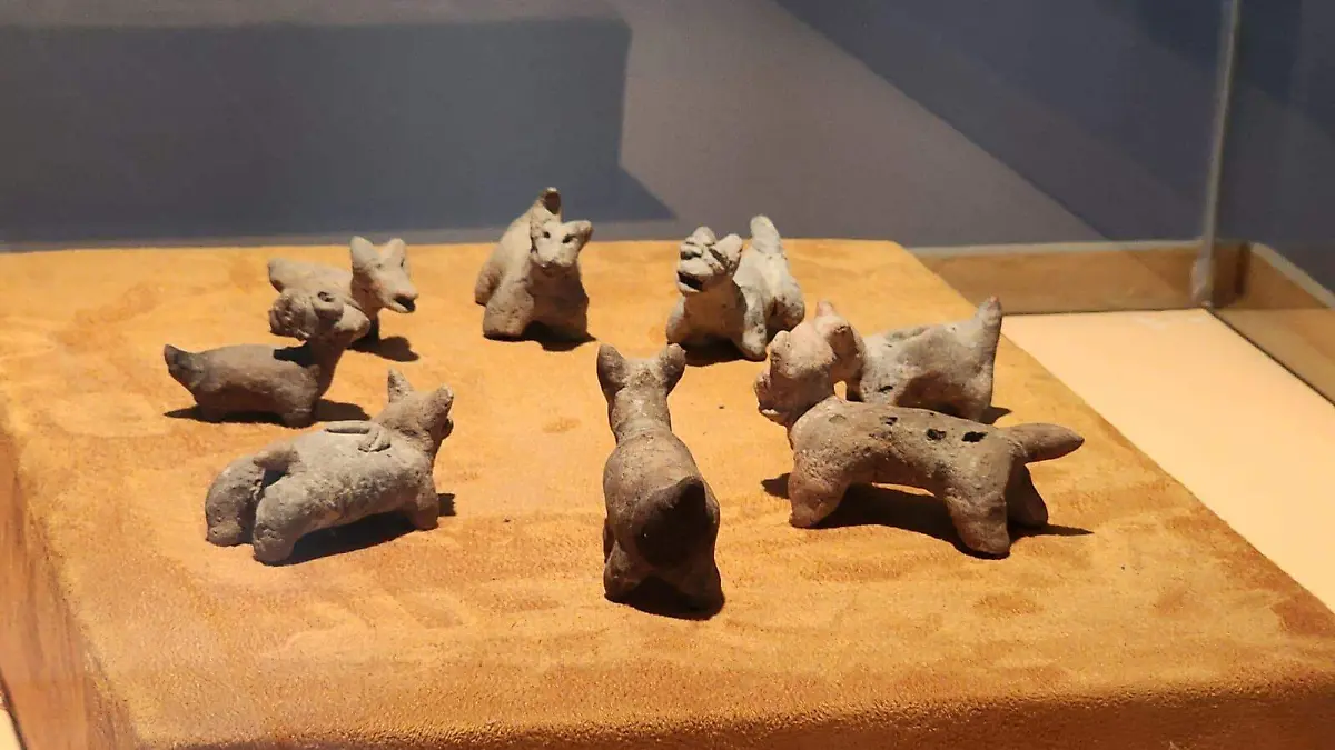 Las-piezas-son 