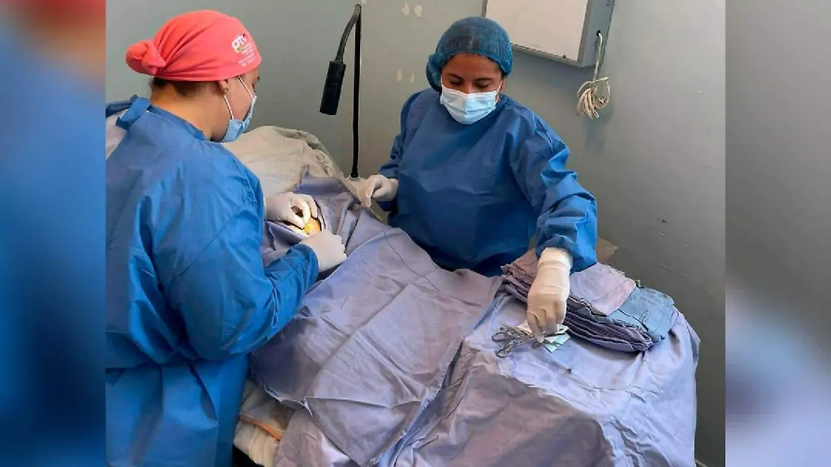 d6c5e399-50e6-402b-9df2-617252acab25