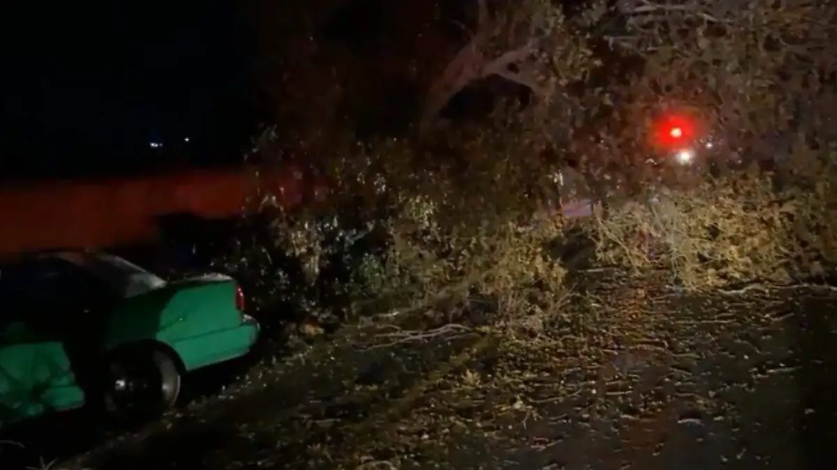 WhatsApp Image 2024-04-19 at 11.43.25 AM