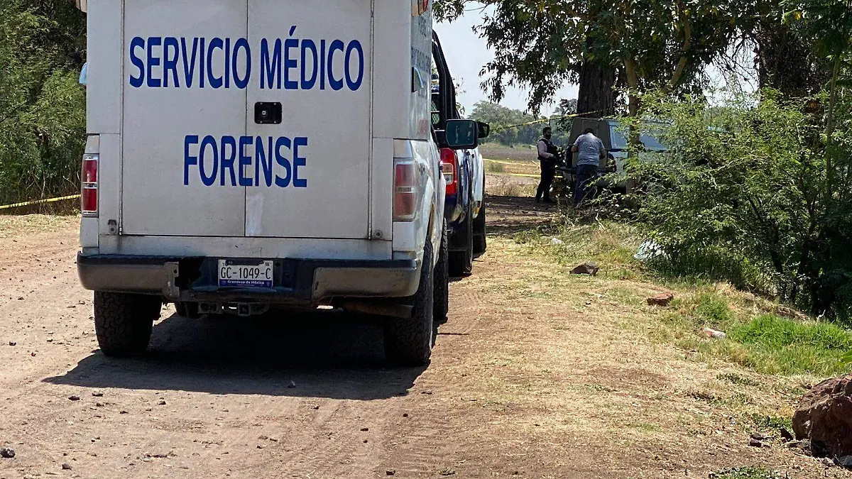 Persona sin vida