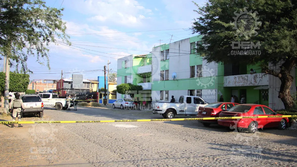 Imagen1