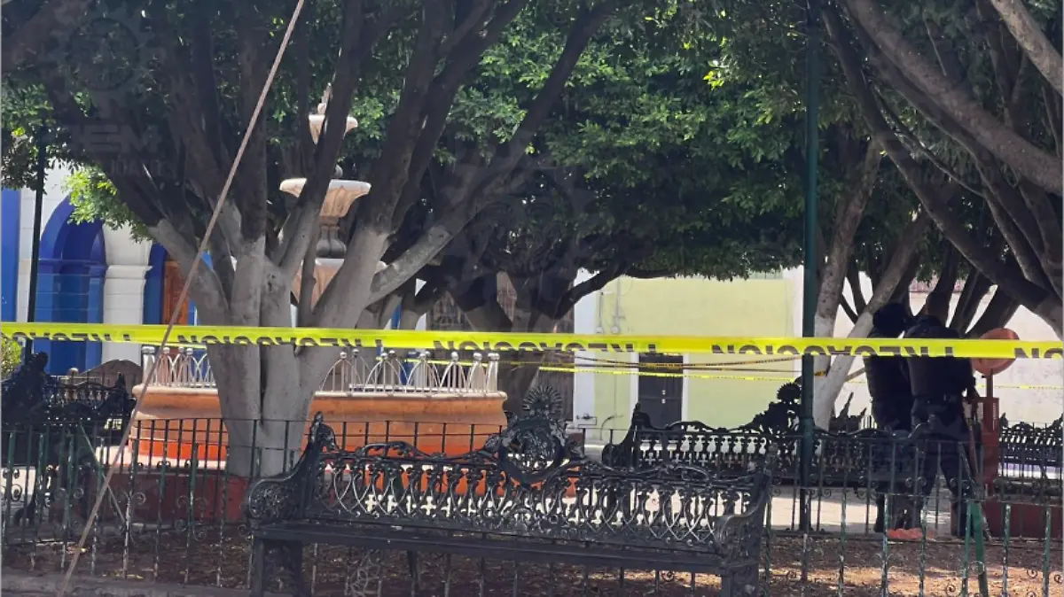muerto-en-salvatierra