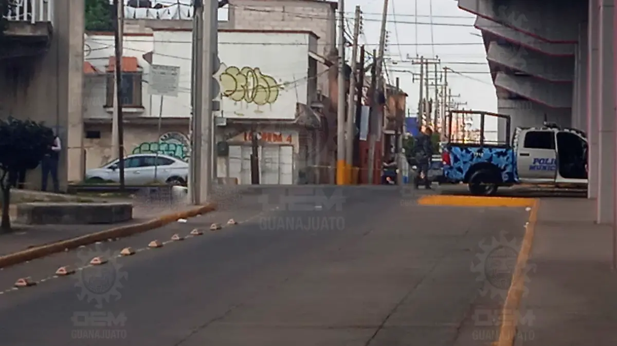 Imagen19