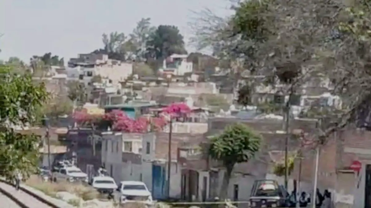 WhatsApp Image 2024-02-27 at 1.39.15 PM