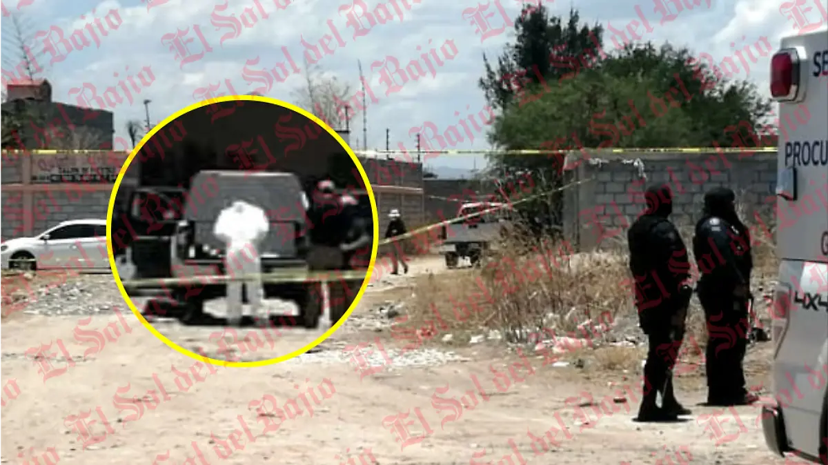 Muerto en el becerro