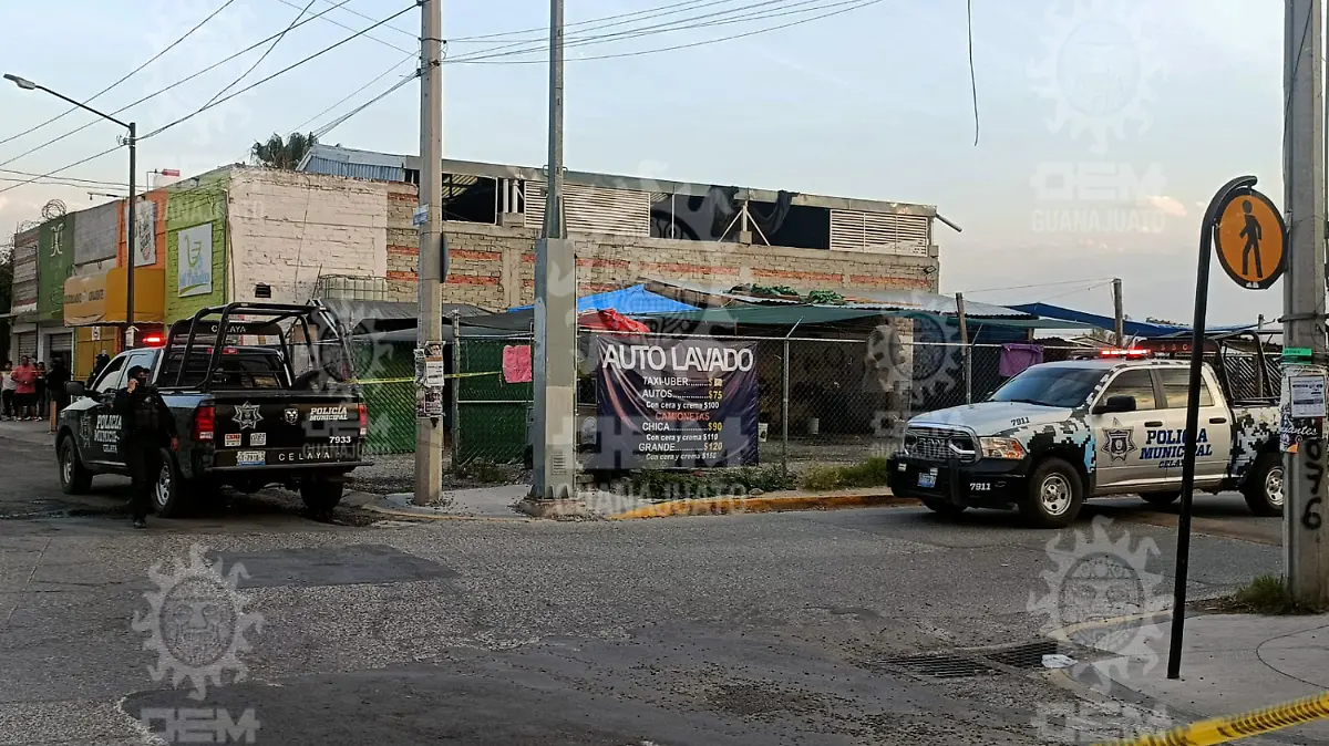 Imagen1