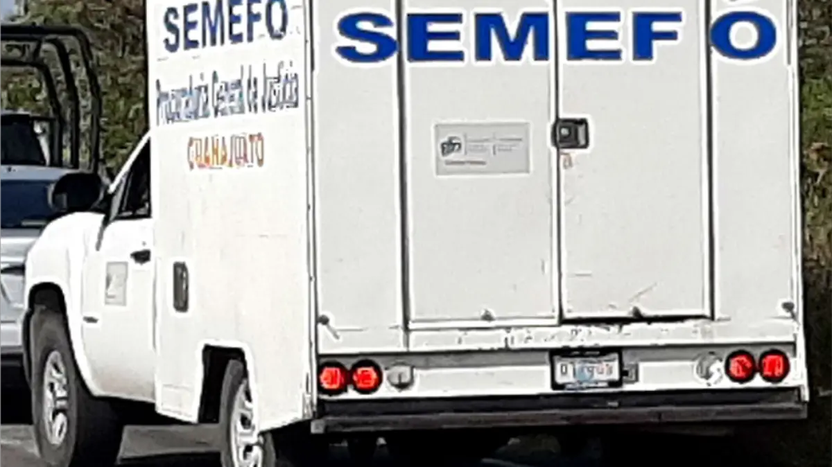 Semefo