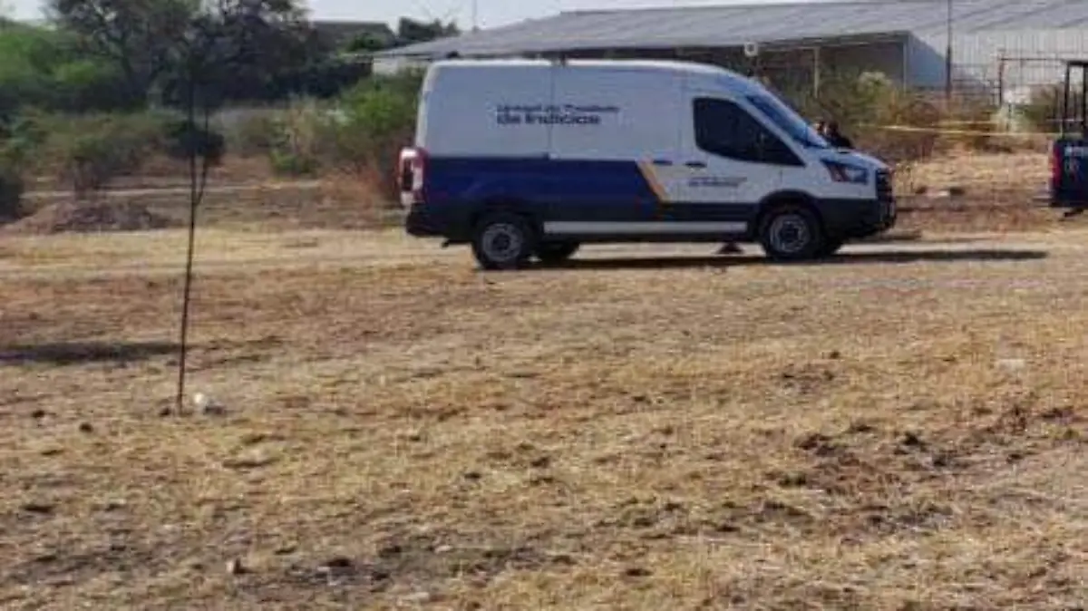 muerto