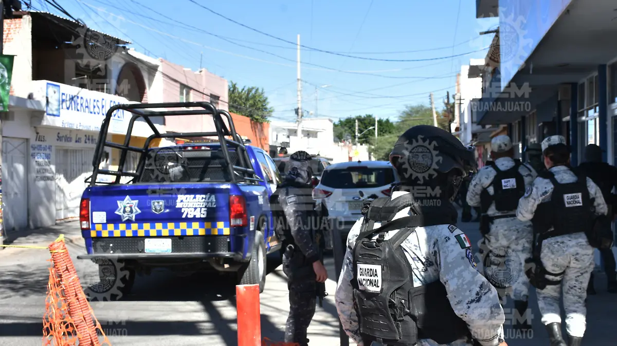 Imagen1