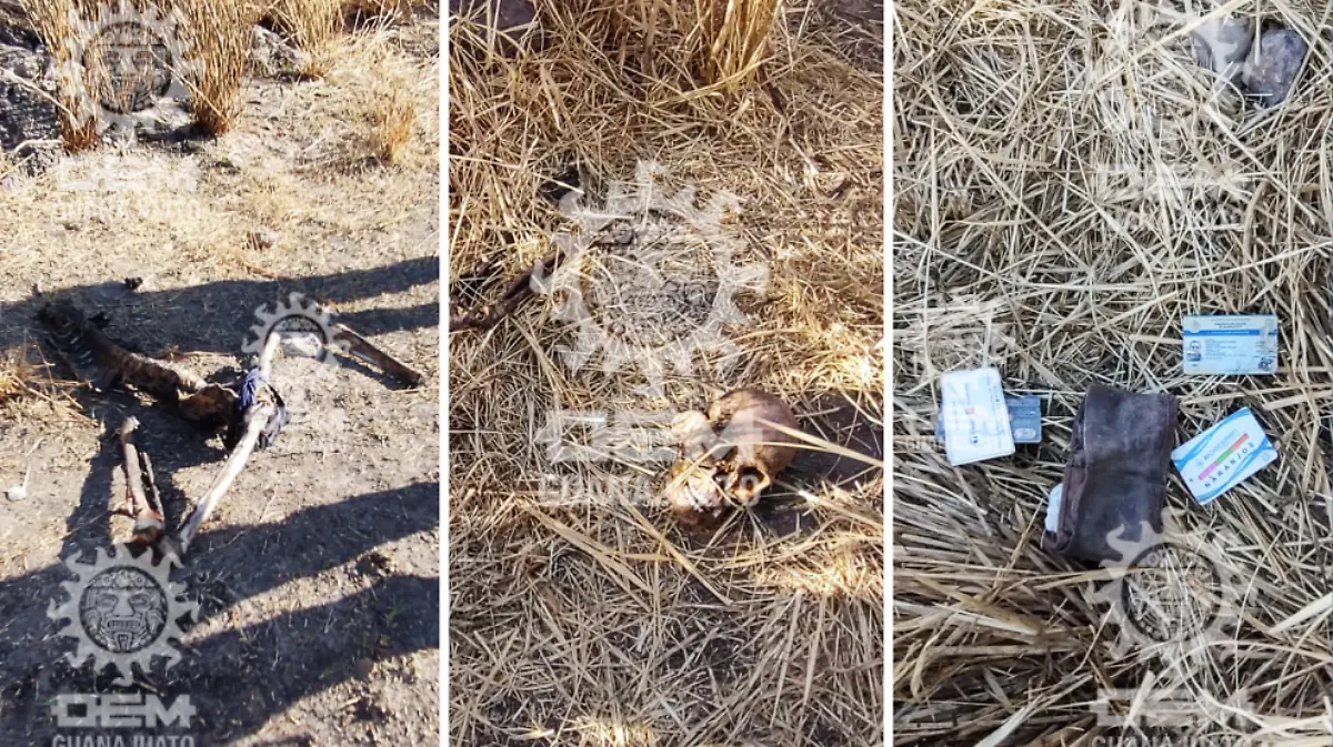 Restos óseos en La Laja