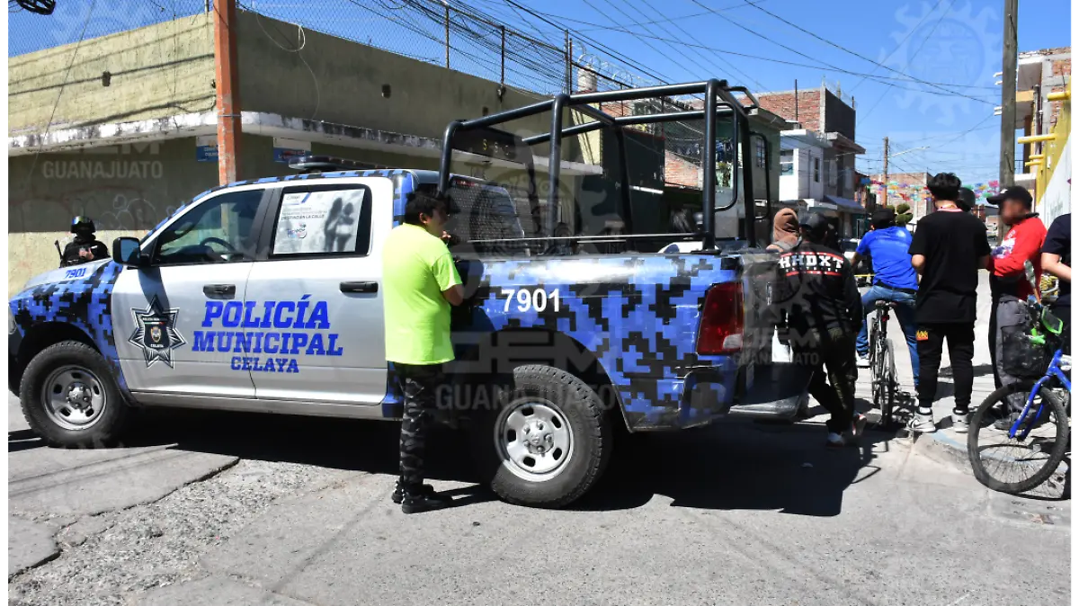 asesinato-en-jacarandas