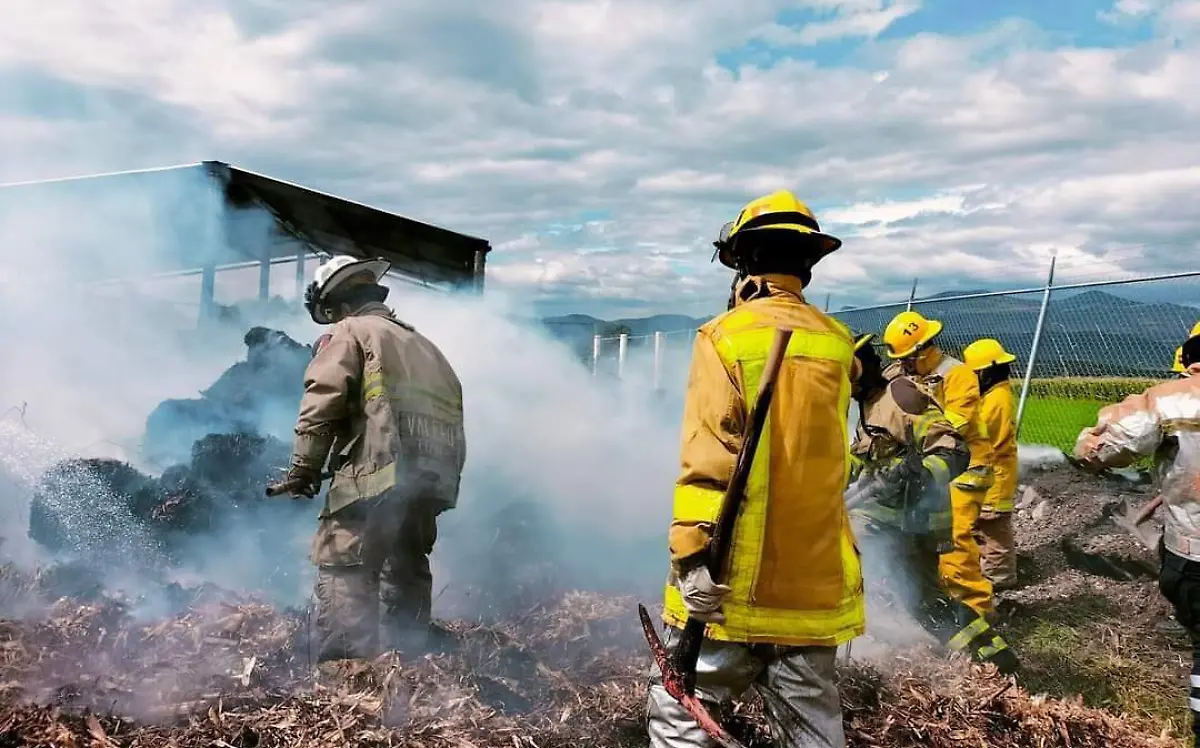 WhatsApp Image 2024-04-16 at 2.46.51 PM