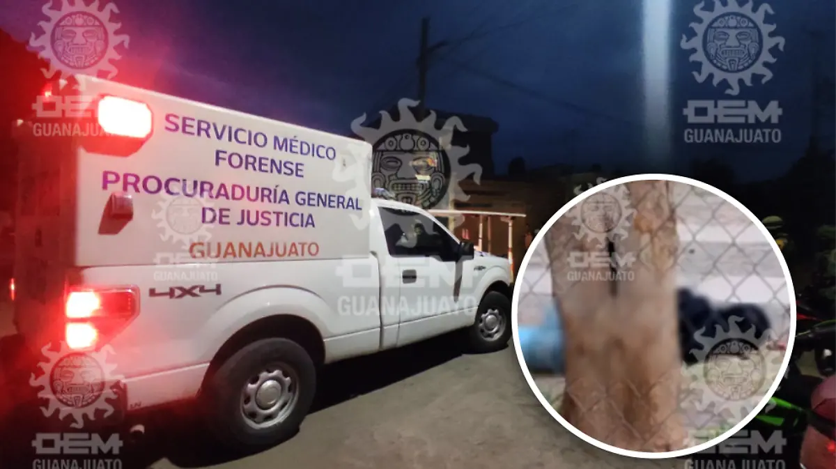 Asesina a El Pantera