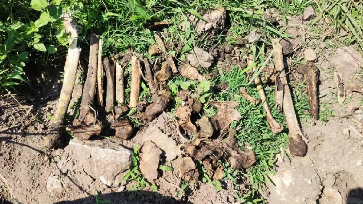 encuentran-restos-óseos