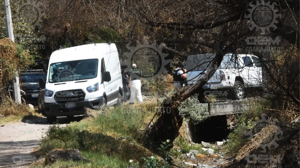 asesinato-en-el-guajolote