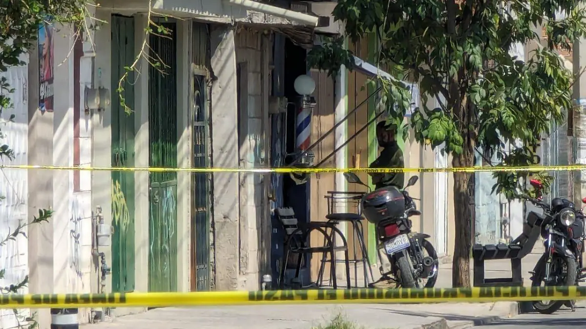 WhatsApp Image 2024-04-19 at 3.54.21 PM