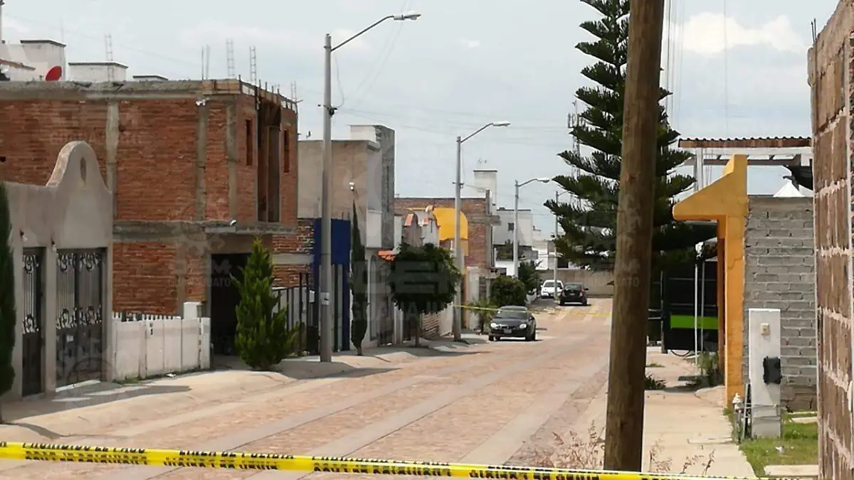 WhatsApp Image 2021-07-29 at 12.49.18 PM