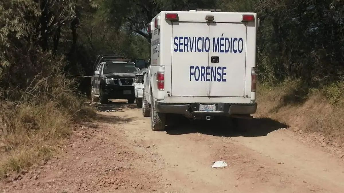 WhatsApp Image 2022-02-11 at 9.37.05 PM