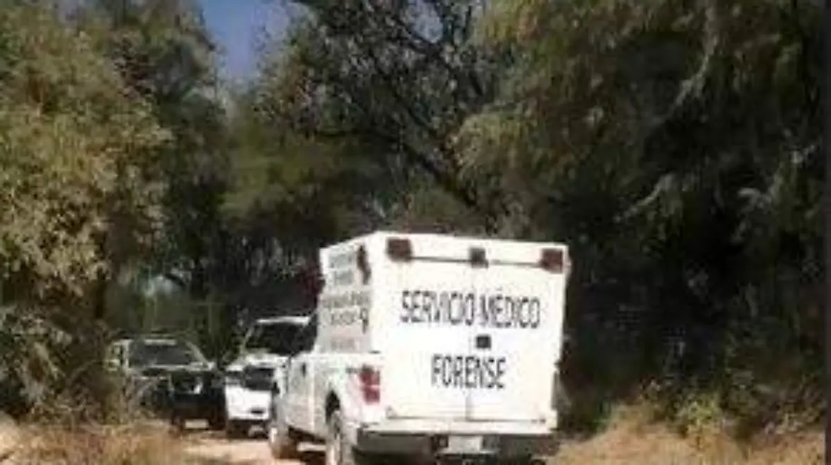 apaseoelalto