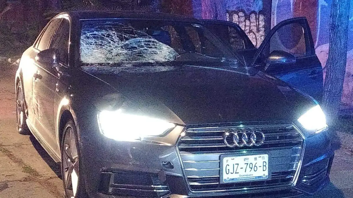 el vehiculo responsable fue asegurado