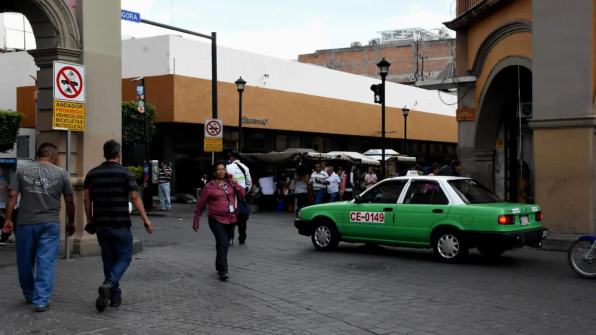 la mujer iba caminando por el jardin ok