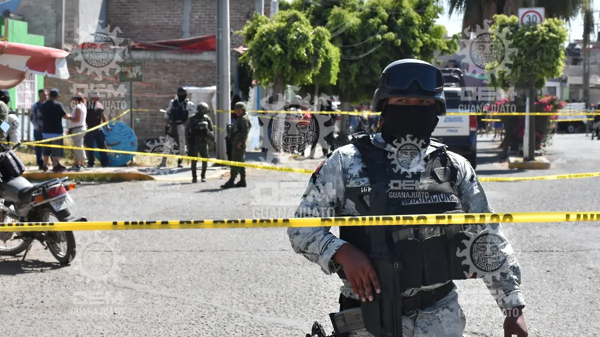 Imagen23