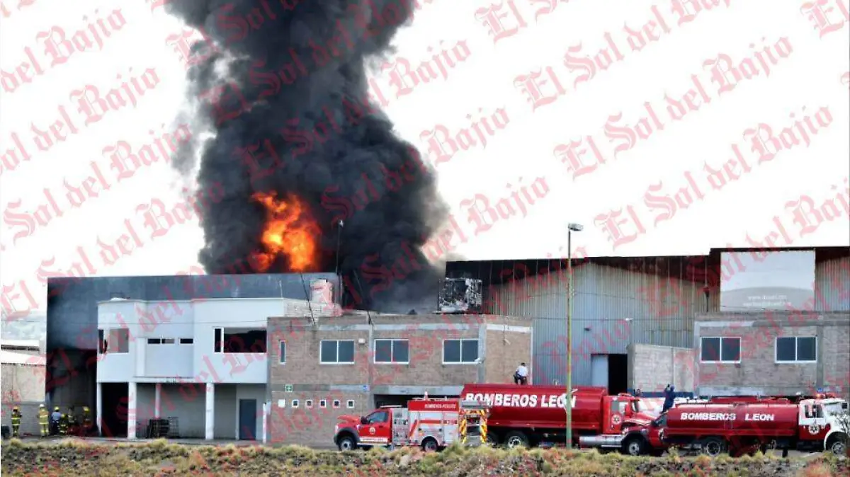 WhatsApp Image 2020-06-10 at 7.09.07 PM