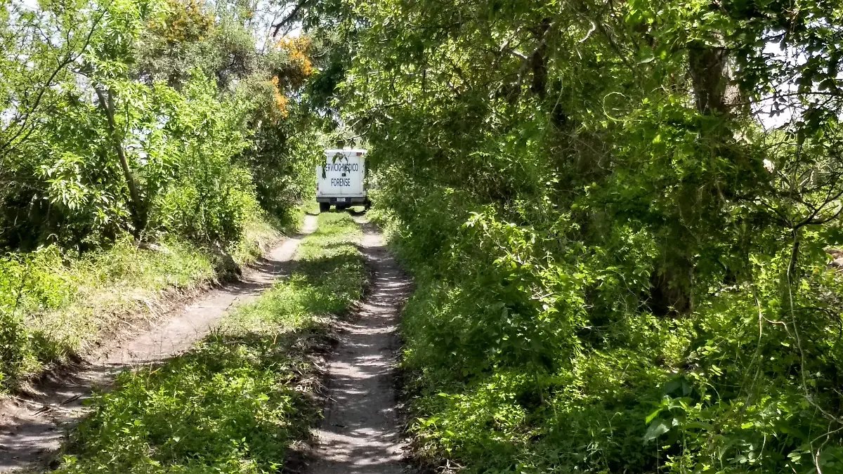 el cadaver fue localizado en estado de descomposicion