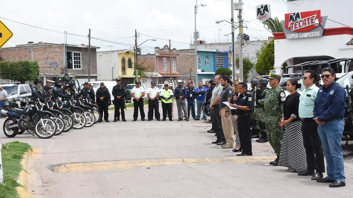 operativo (3)